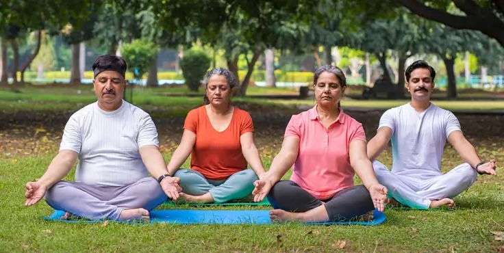 Holistic and Complementary Programs